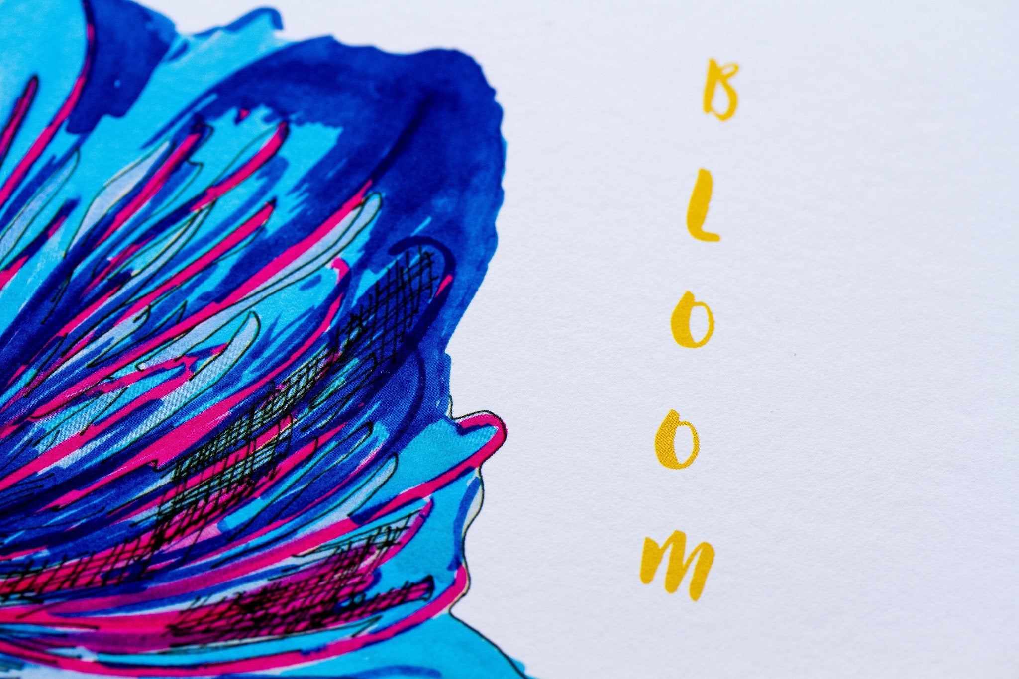 Bloom