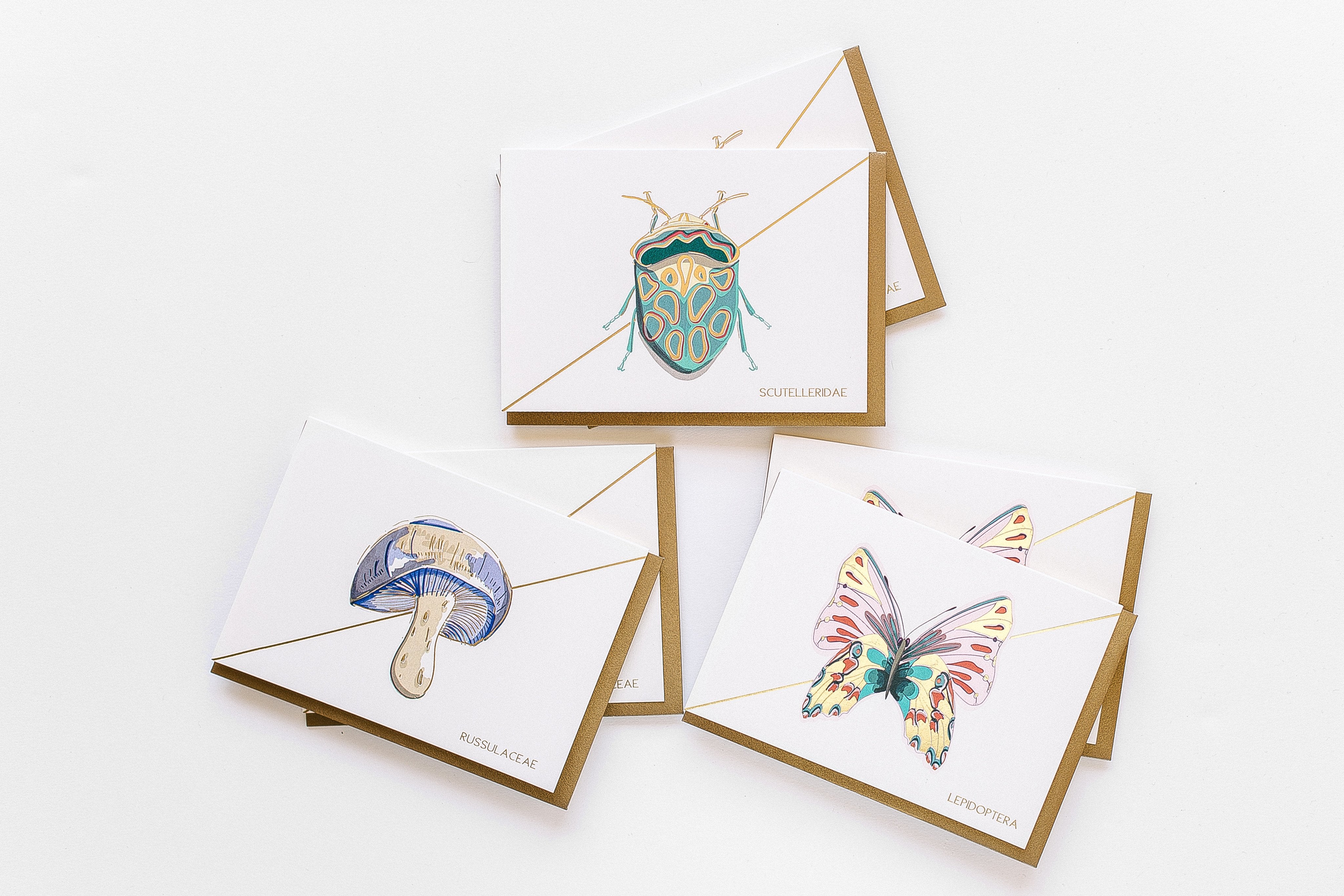 Into The Woods Stationery - Boxed Set of Six