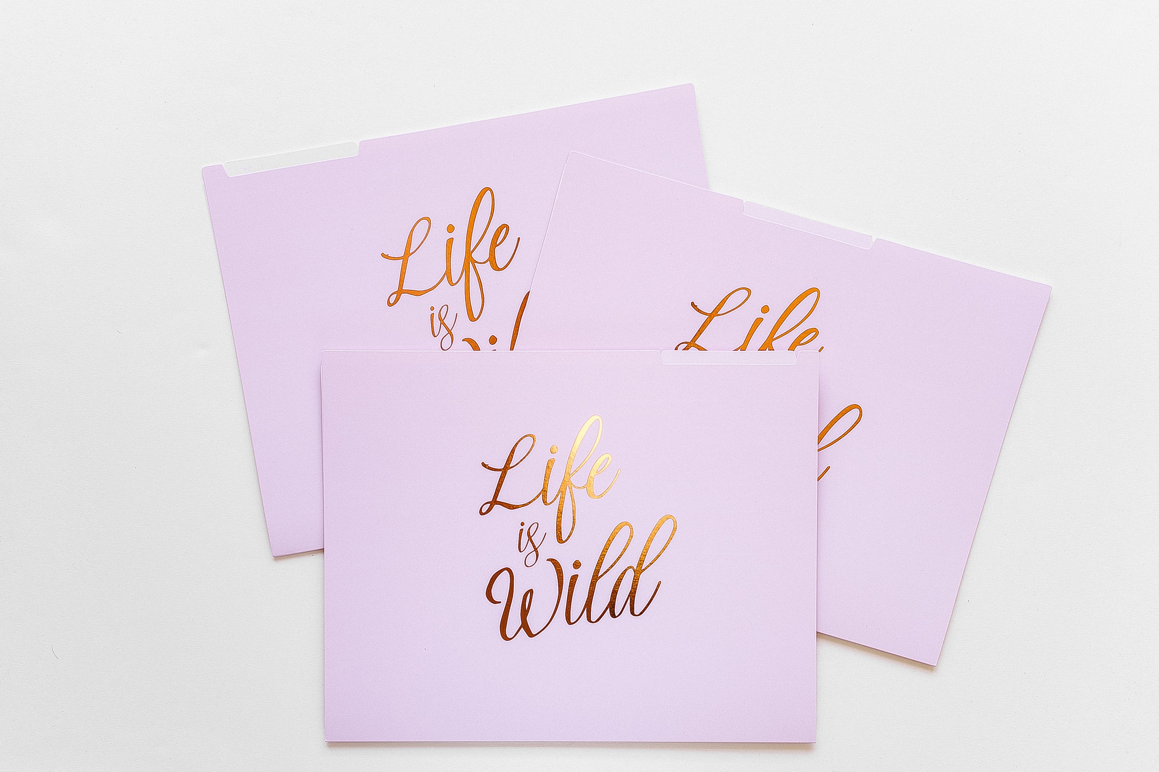 Life Is Wild File Folders