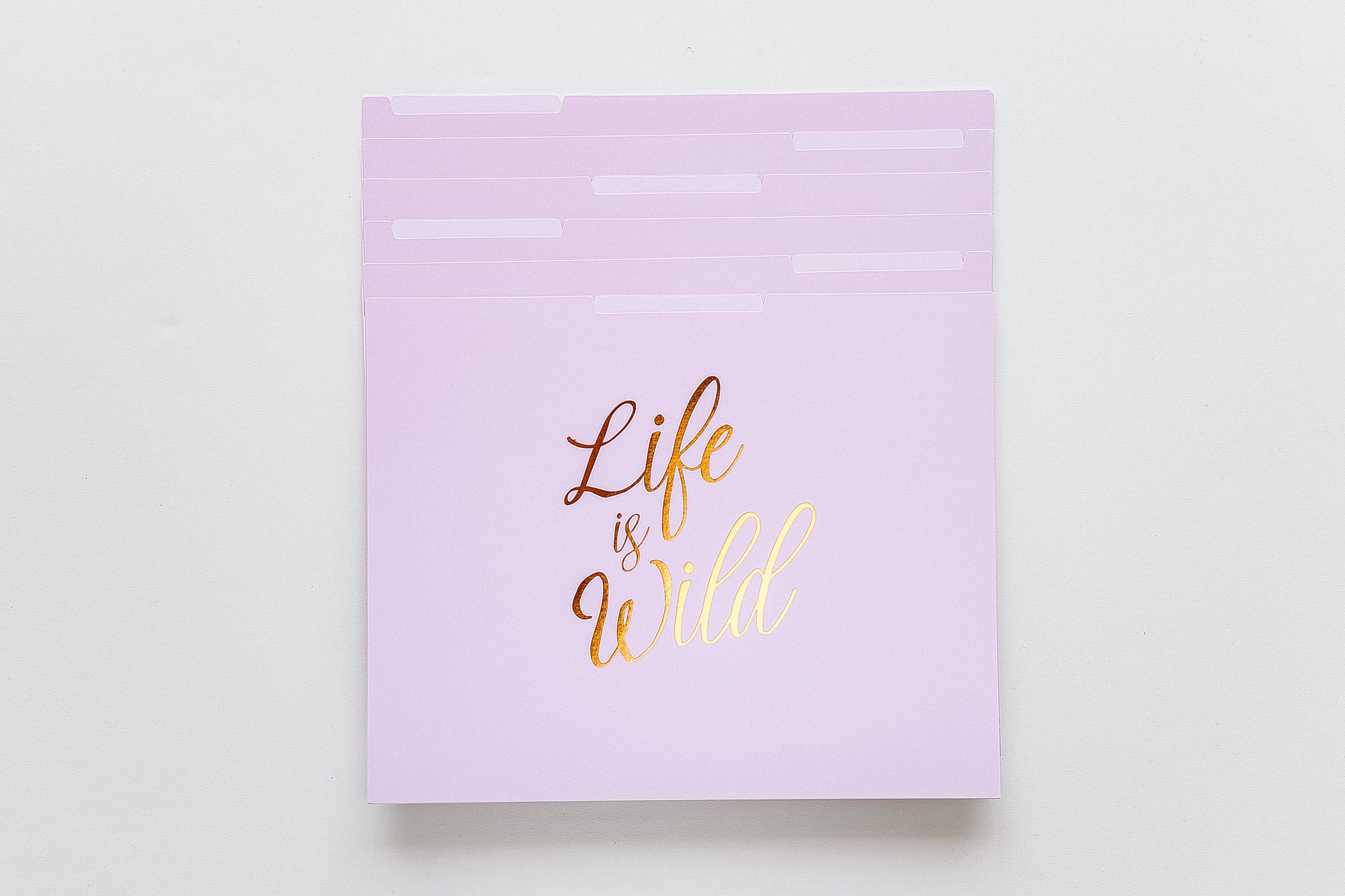 Life Is Wild File Folders