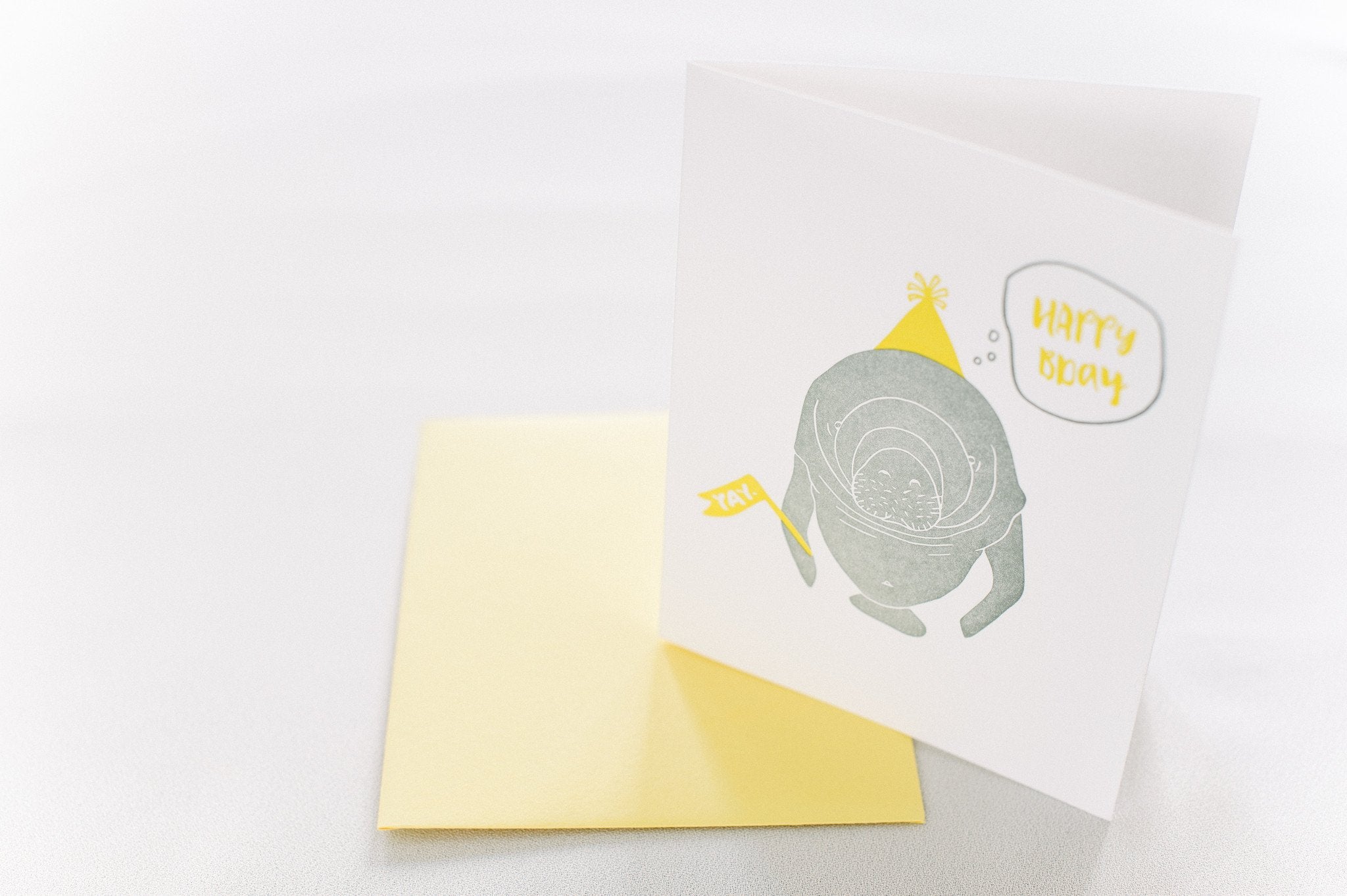 Manatee Birthday