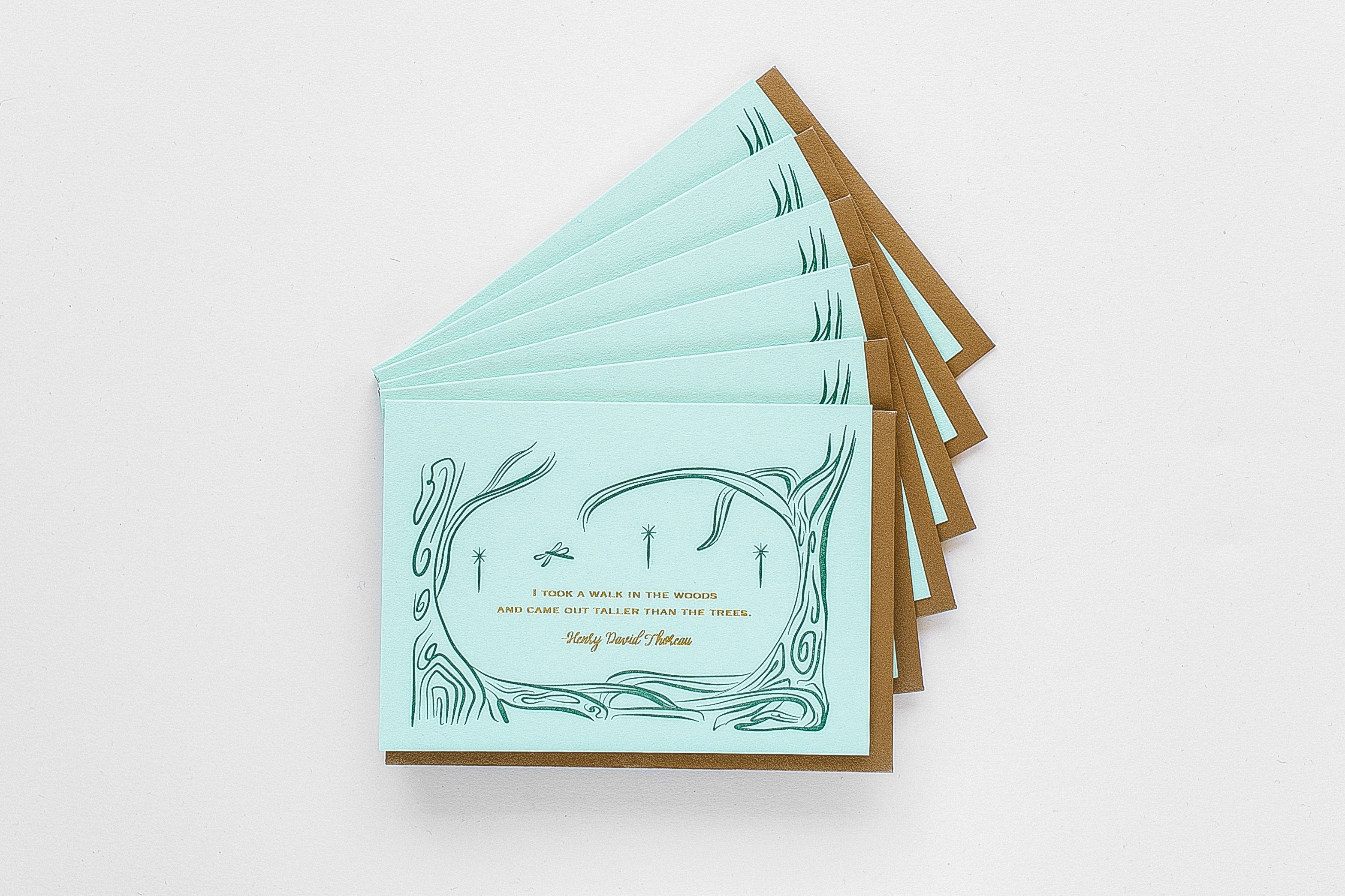 Walk in the Woods Stationery - Boxed Set of Six