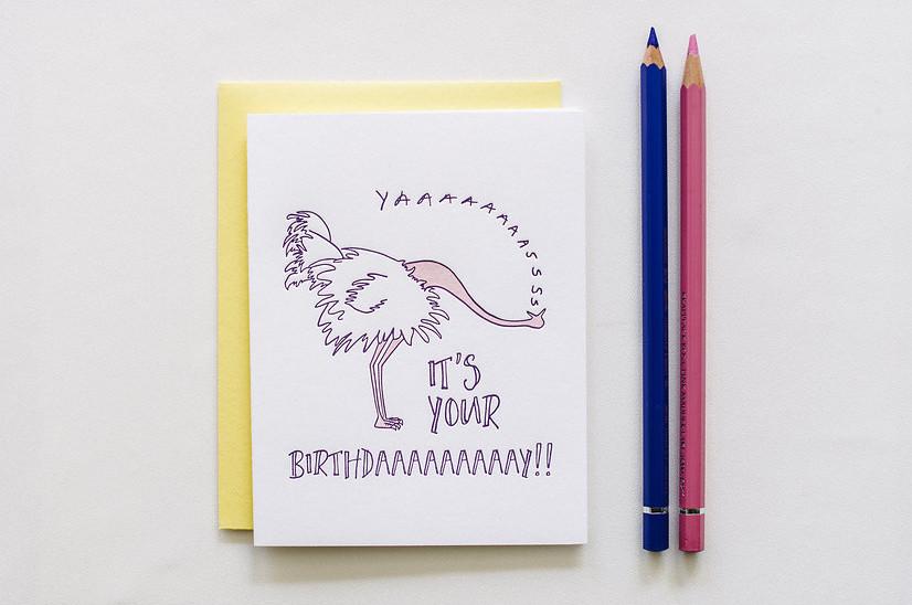 YAS Ostrich Birthday